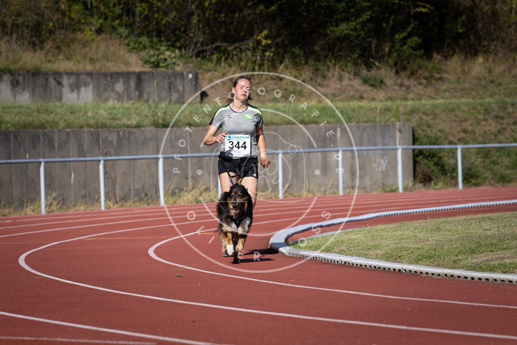 Pfotenfotografie_DV3A8532 | Hundefotografie, Tierfotograf, Pfotenfotografie, Fotoshooting Hund, Hunde Portrait, Hundesport, Hundeportraits, Heideshooting, Hunde, Sportfotograf, Hundefotograf, Turnierhundsport, THS,  - Realisiert mit Pictrs.com