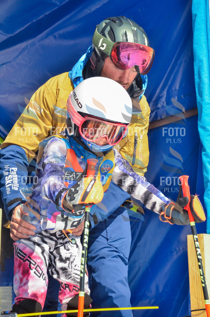 _ELE6234 | holidayphoto