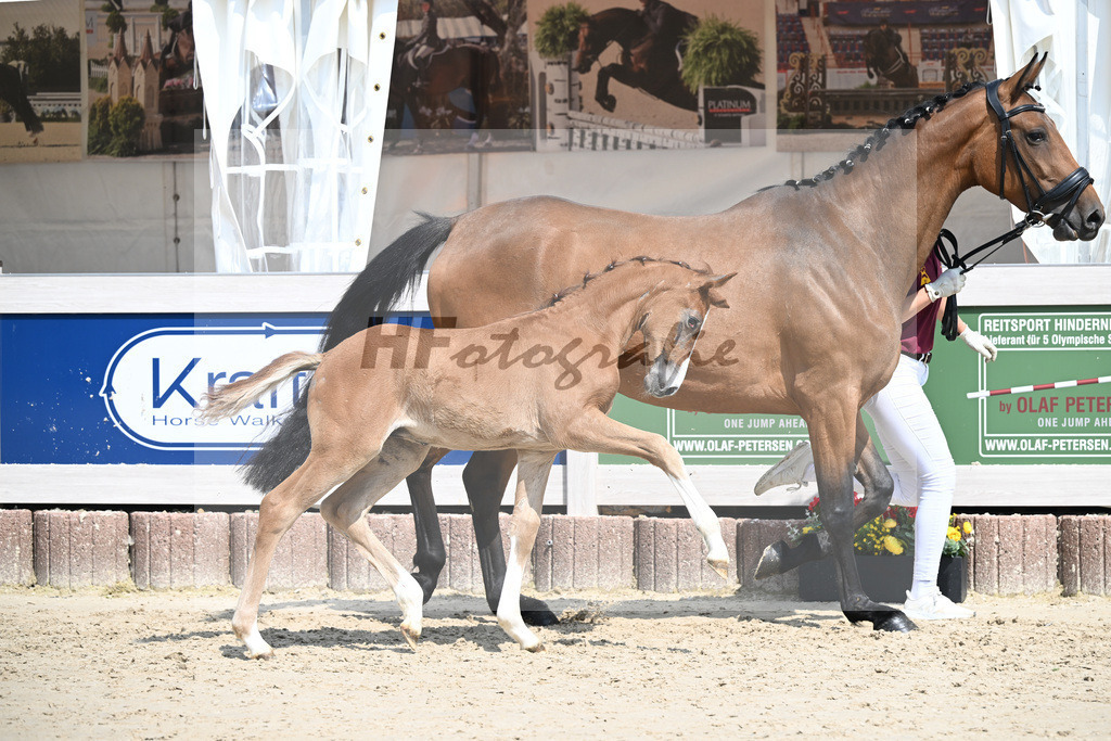 Arezzo Man x Zinedream_HF_Lohmiller_12250407 | hf-fotografie - Realizzato con Pictrs.com