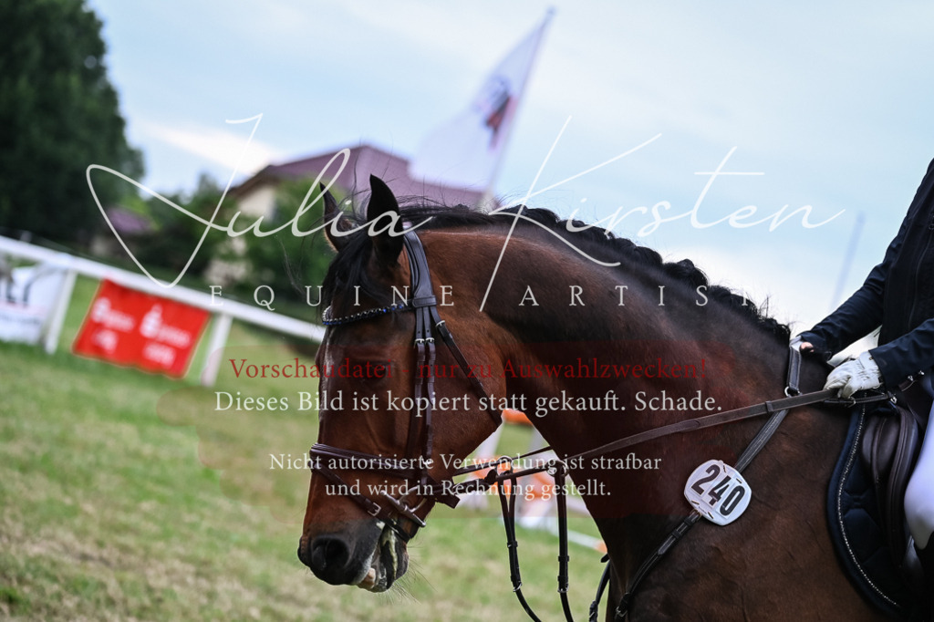 DSC_8483 | Pferde- und Turnierfotografie in Westsachsen. Pferdeportraits, Auftragszeichnungen und intuitive Kunst.