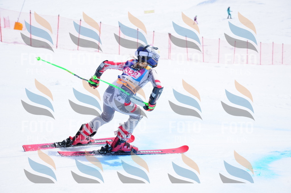 DSC_6866 | holidayphoto