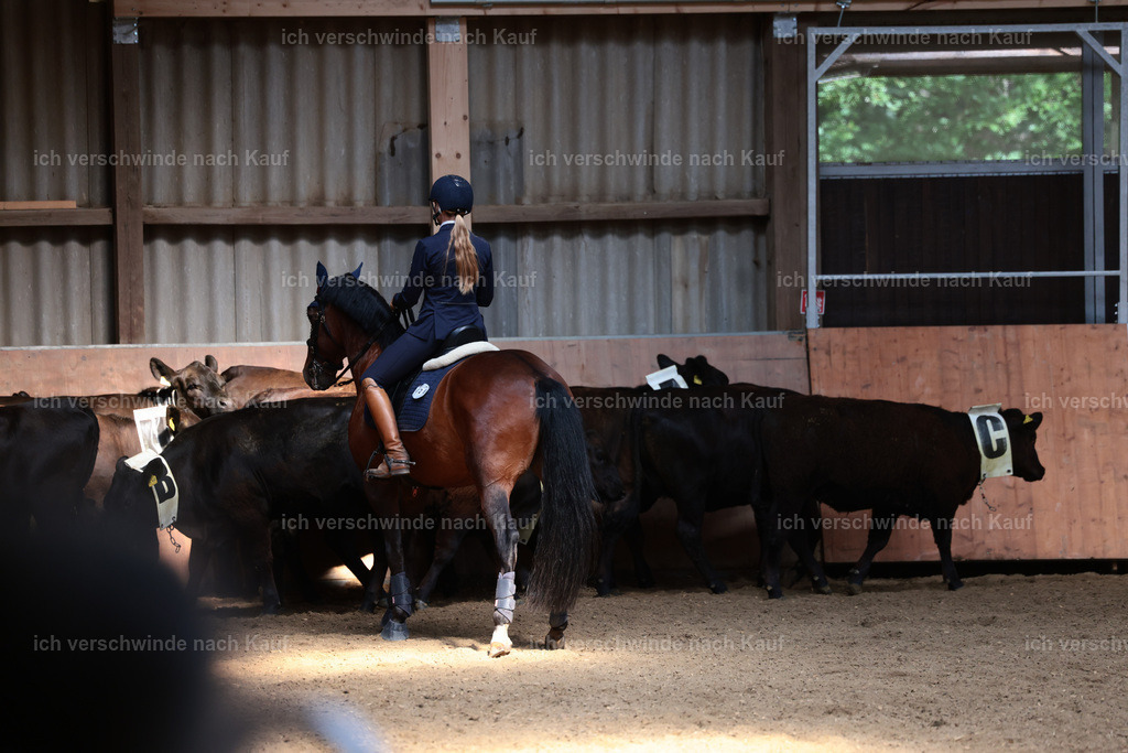 Masterclass_stoibphotography_C2_L7370.JPG | working equitationturnier fotograf videograf stoibphotography marixx film working equitation deutschland reitsport turnierfotografie eventfotografie equestrian events