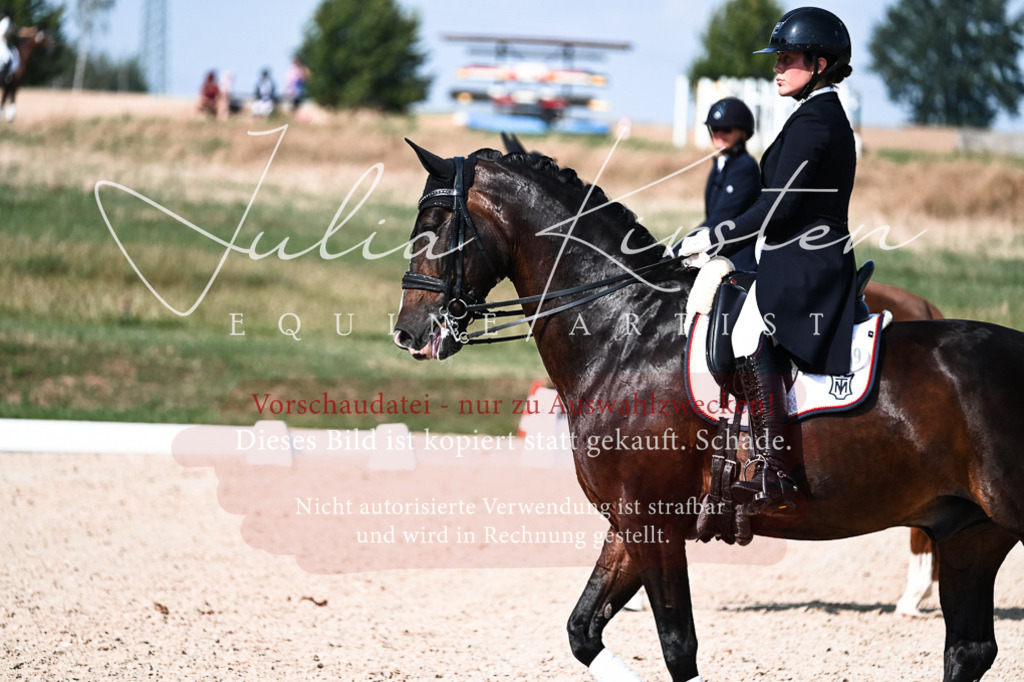 DSC_3414 | Pferde- und Turnierfotografie in Westsachsen. Pferdeportraits, Auftragszeichnungen und intuitive Kunst.