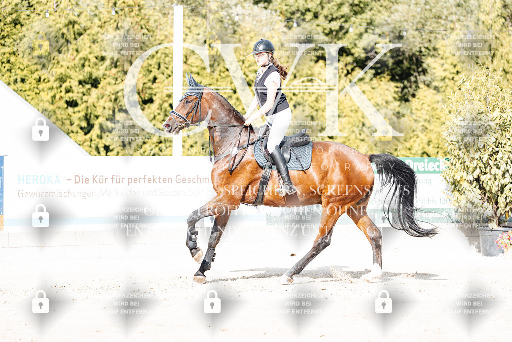 CK909128 | Turnierfotografie Pferdefotografie Trier Rheinland-Pfalz Pferdesport Reitsport Tierfotografie Sportfotografie Pferdevideo Pferdevideografie Equestrianvideography equestrianphotography  - Realisiert mit Pictrs.com