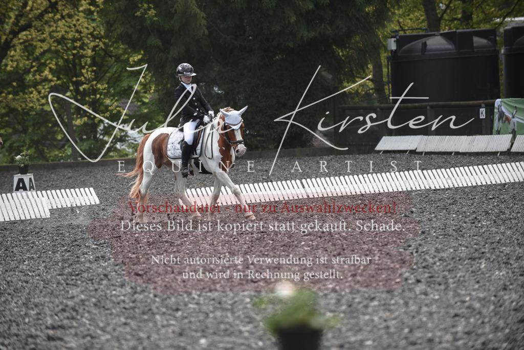 20230513_JK-Röhrsdorf-14-727 | Pferde- und Turnierfotografie in Westsachsen. Pferdeportraits, Auftragszeichnungen und intuitive Kunst.