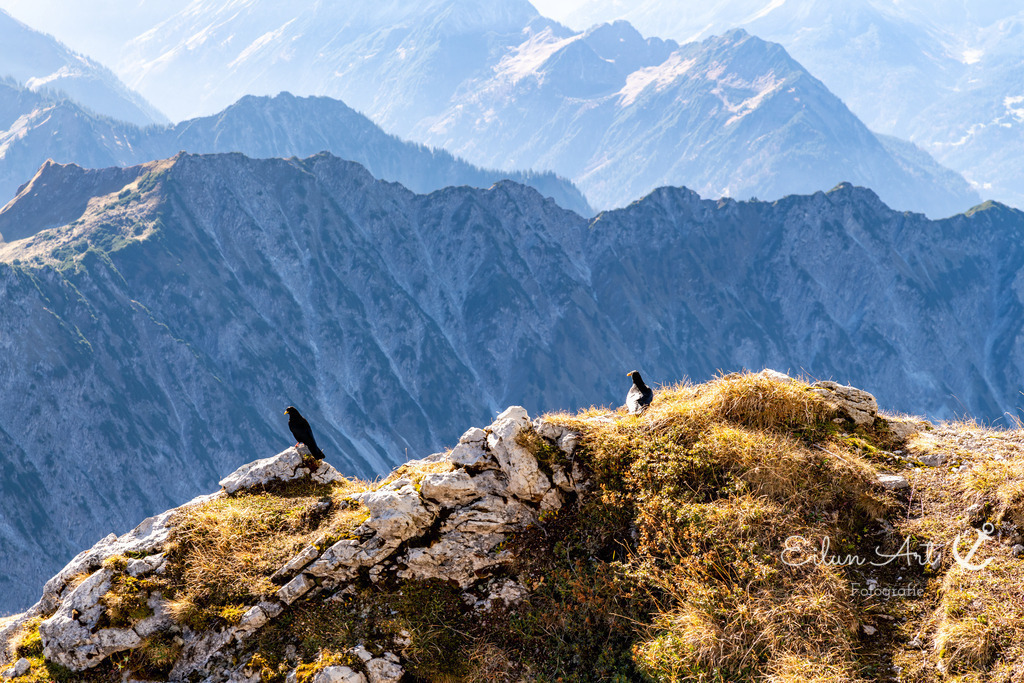 20241029-EAF_5061 | Eilun-Art-Fotografie Levke Martens, ihre Fotografin für Immobilien- und Landschaftsfotografie auf Föhr, Föhrer Motive als Poster, Leinwand, hinter Acrylglas oder stelle dir deinen eigenen Monatskalender zusammen, mit nur einem Klick