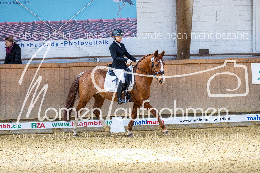 Sth-LPO25-DrR-L-237 | MomenTaufnahmen Pferdesportfotos