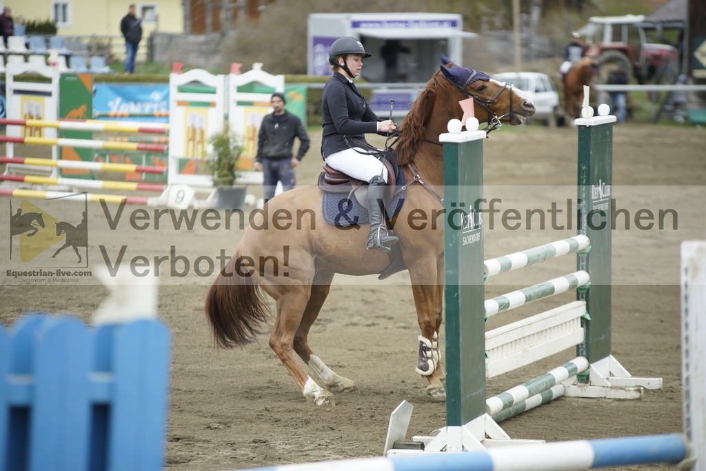 _DSC7306 | equestrian-live-com