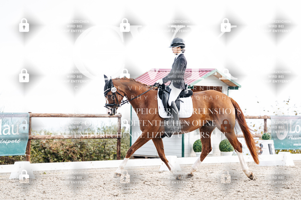 CK900676 | Turnierfotografie Pferdefotografie Trier Rheinland-Pfalz Pferdesport Reitsport Tierfotografie Sportfotografie Pferdevideo Pferdevideografie Equestrianvideography equestrianphotography  - Realisiert mit Pictrs.com