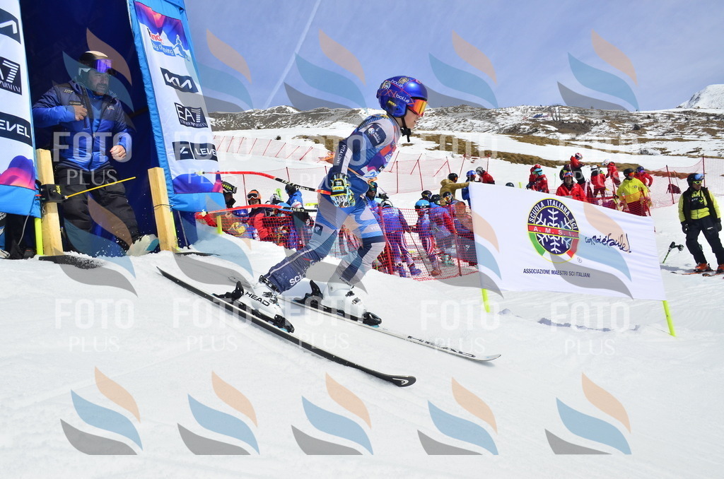 _ELE1553 | holidayphoto