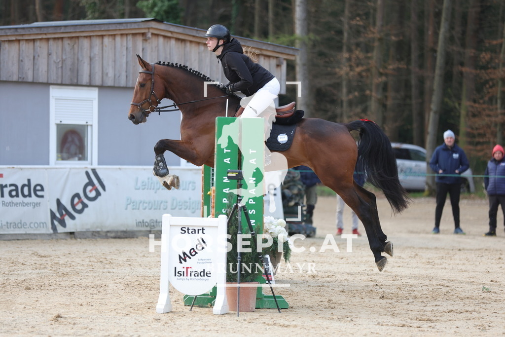 0P6A3052 | Willkommen bei Brunnmayr - Design & Fotografie – Ihrem Spezialisten für Reitturniere und Pferdeveranstaltungen in Oberösterreich, Salzburg und Bayern! Seit über 17 Jahren sind wir leidenschaftlich dabei.