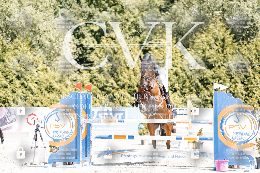 CK900467 | Turnierfotografie Pferdefotografie Trier Rheinland-Pfalz Pferdesport Reitsport Tierfotografie Sportfotografie Pferdevideo Pferdevideografie Equestrianvideography equestrianphotography  - Realisiert mit Pictrs.com