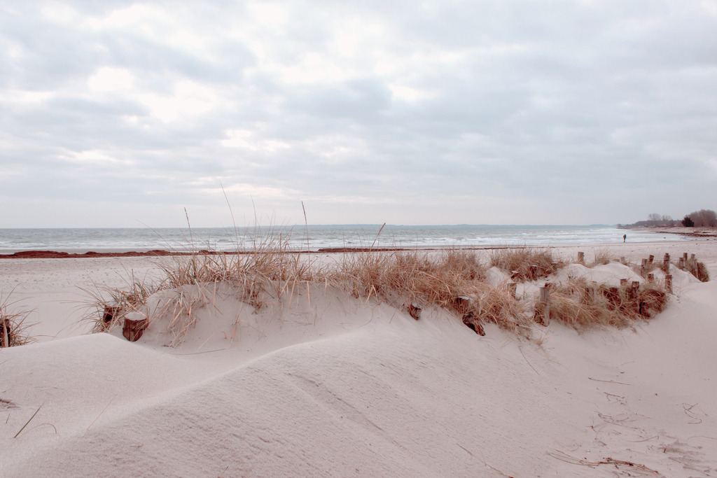 Wandbild: Düne und Strandhafer am Meer | Dieses Wandbild im Querformat zeigt eine kleine Düne bewachsen mit Strandhafer am Meer. In der Ferne ist ein einzelner Spaziergänger am Strand zu sehen. Am Himmel befindet sich eine geschlossene Wolkendecke in einem eleganten hellgrau. Dieses Wandbild ist in einem stilvollen hellen Farbton gehalten und ist damit passend zu fast jedem Einrichtungsstil. Zudem ist der Farbumfang in diesem Wandbild reduziert. Der Strandsand bringt einen natürlichen Sandton in Bild. Dieser wirkt beruhigend und gleichzeitig elegant. Holen Sie sich dieses traumhafte Strandmotiv auf Leinwand, Aluminium-Platte oder Acrylglas. Ideal fürs Wohnzimmer, Schlafzimmer, Küche, den Arbeitsplatz oder die Ferienwohnung.   - Realisiert mit Pictrs.com
