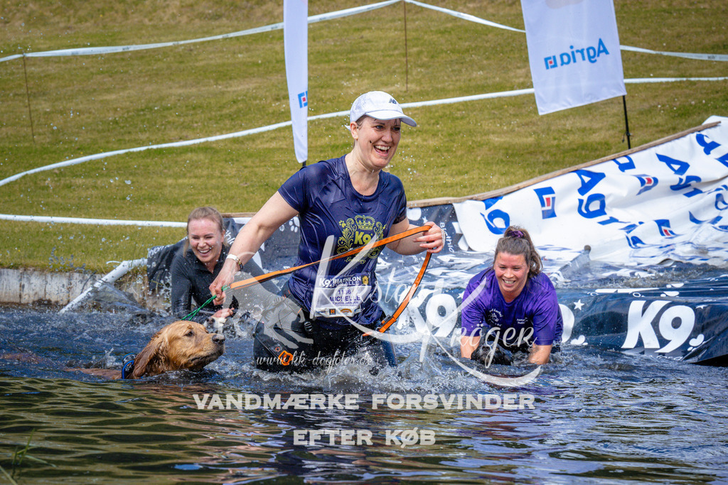 _ZZ950221004 | kk-dogfotos