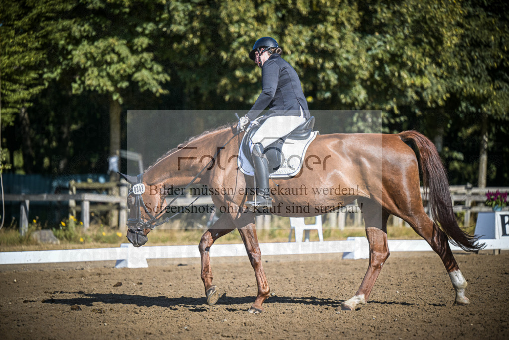 DOS_1279 | Entdecke hochwertige Reitturnierfotos von Foto Oger. Professionell, emotional und authentisch – jetzt Lieblingsmomente im Shop bestellen.Deutschlandweite Turnierfotografie. - Realisiert mit Pictrs.com