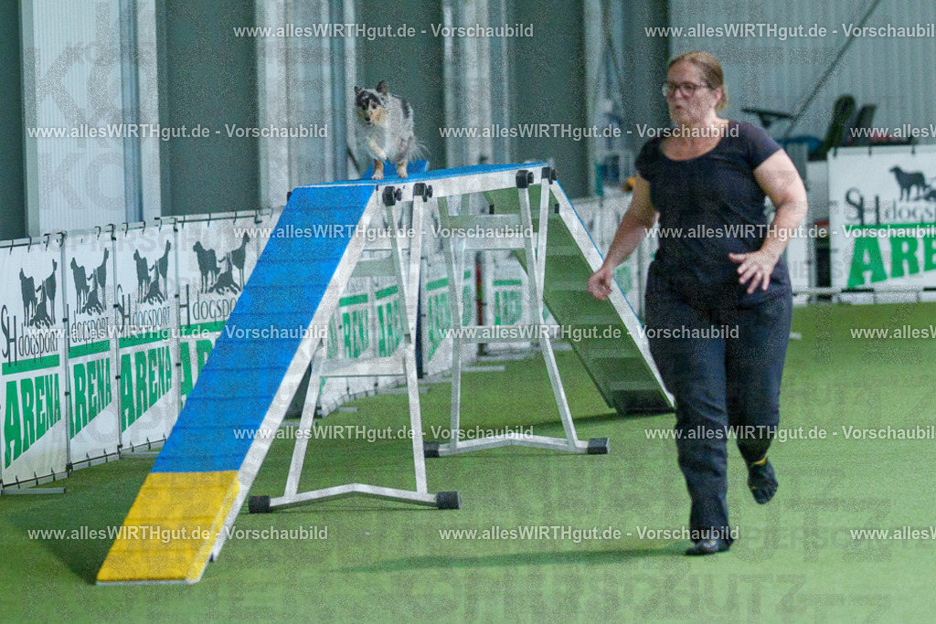 @allesWIRTHgut_Tierfotografie - www.allesWIRTHgut.de - 2604251555-7R506483 | Professionelle Tierfotografie in Mönchengladbach von Daniel Wirth (allesWIRTHgut). Liebevolle & natürliche Bilder von Hunden & Katzen für unvergessliche Erinnerungen.