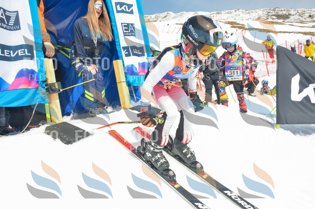 _ELE7059 | holidayphoto