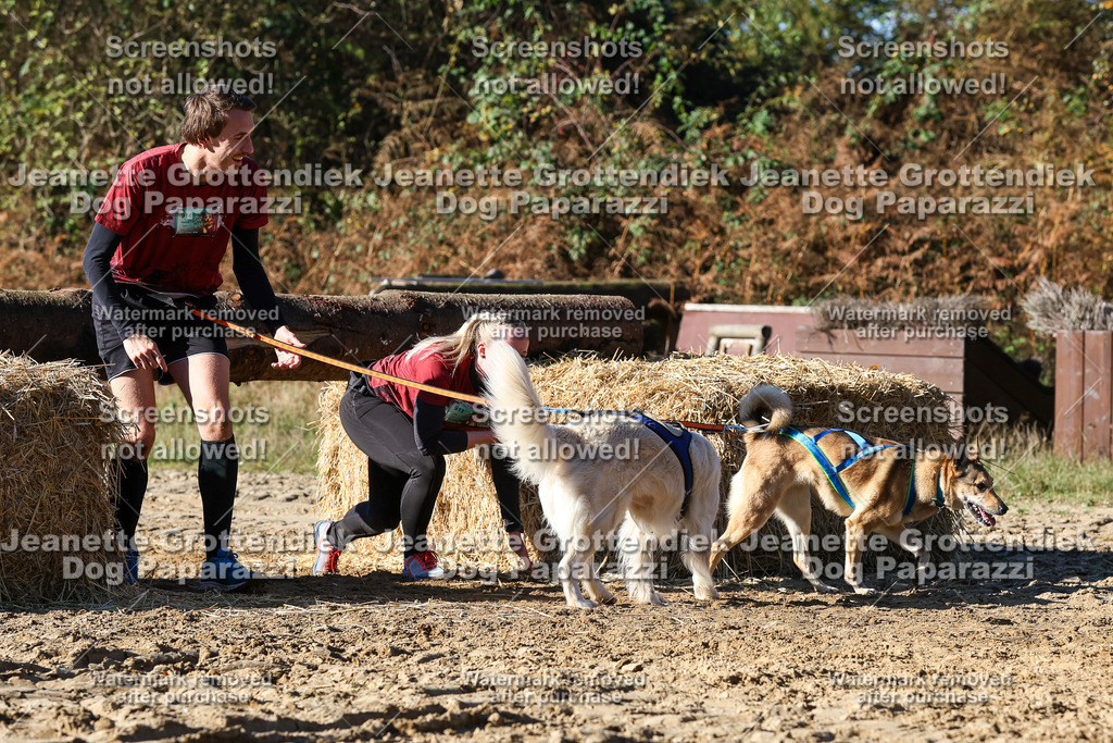 Dog Paparazzi - Strongdog 10-25-2354 | Dog Paparazzi Jeanette Grottendiek Fotografie & Videografie - Realisiert mit Pictrs.com