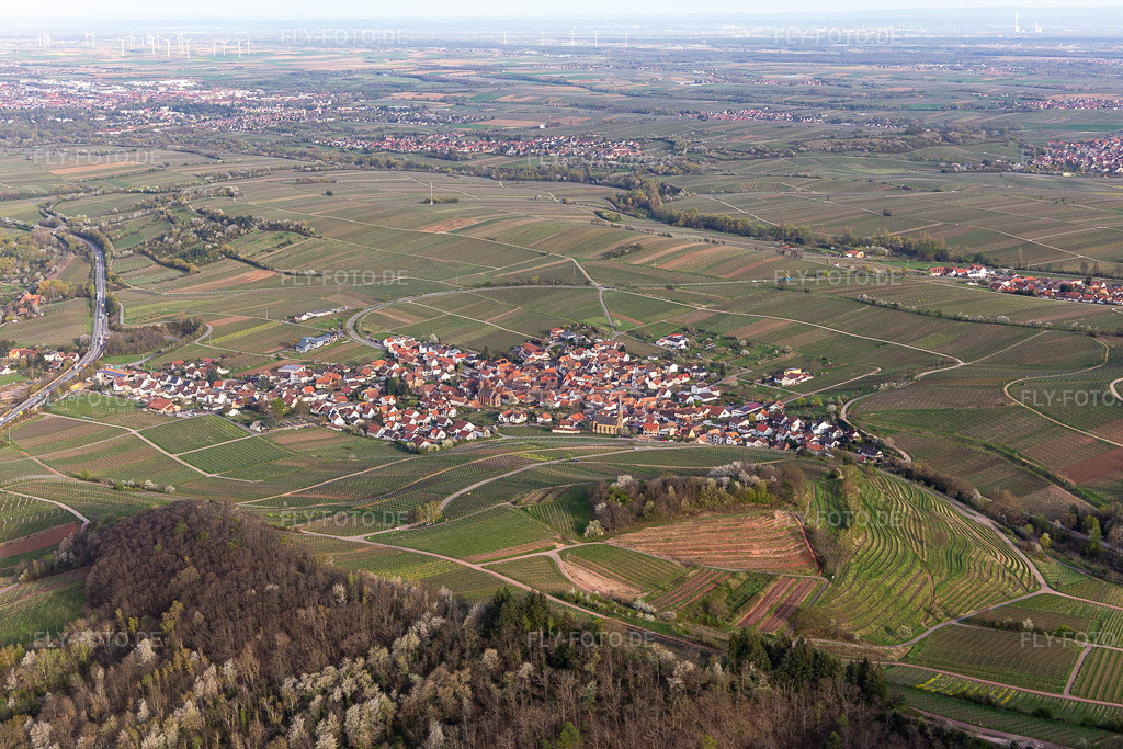 Luftbild:  in Birkweiler im Bundesland Rheinland-Pfalz in Deutschland. Foto: IMG_131150.jpg vom 12.04.2022 durch Werner Riehm/FLY-FOTO.deWeinort Birkweiler