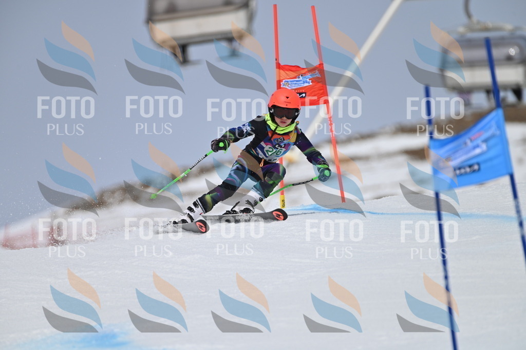 BGV_4451 | holidayphoto