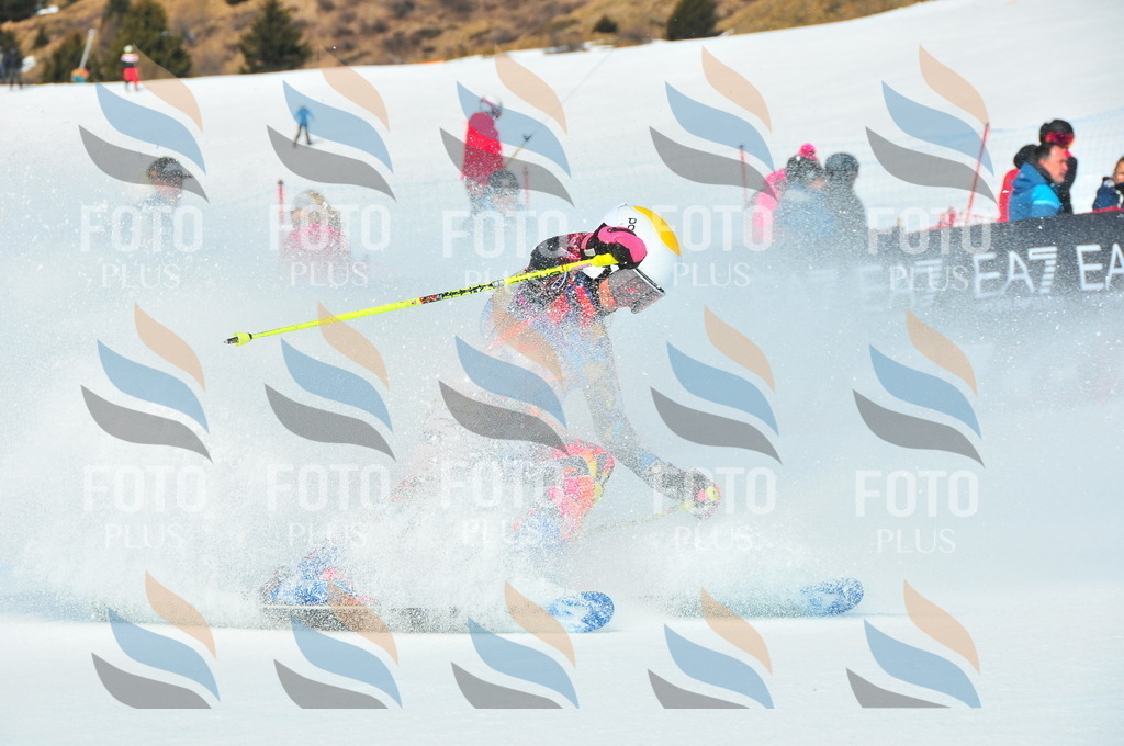 DSC_4256 | holidayphoto