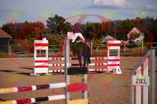 2026_10_03_Siefer-Hof_171553_Z81_13668990 | Professionelle Reitsport-, Turnier- und Eventfotografie von Robert Broda. Galerien mit ausgewählten und bearbeiteten Bildern direkt online ansehen und bestellen.