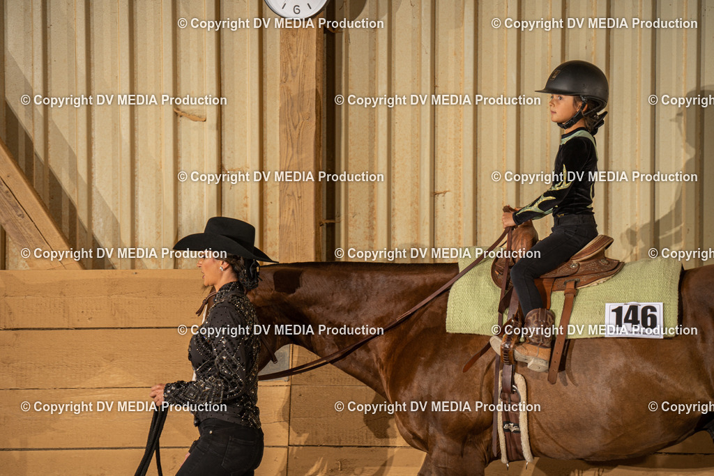 NID03273 | dv-media-shop - Realisiert mit Pictrs.com