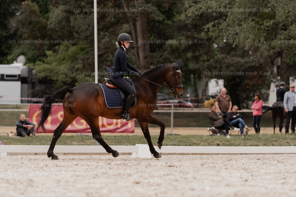 WE_DR_Stoib_333_PI2025_469 | Pferd International München 2025