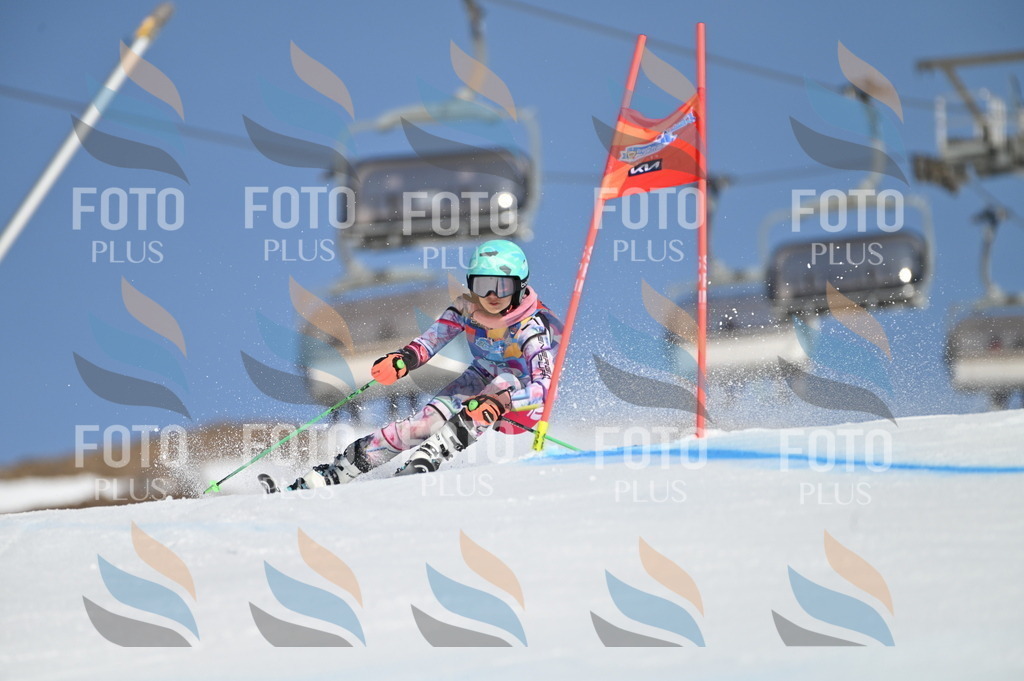 BGV_7924 | holidayphoto