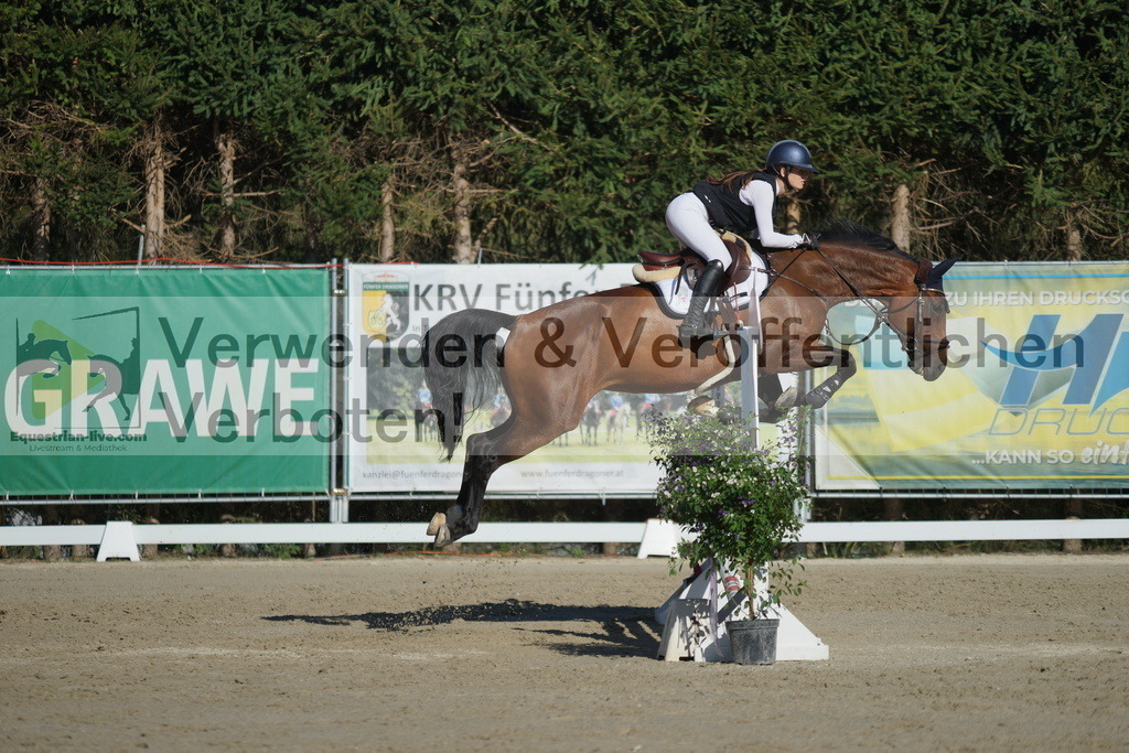 DSC01230 | equestrian-live-com