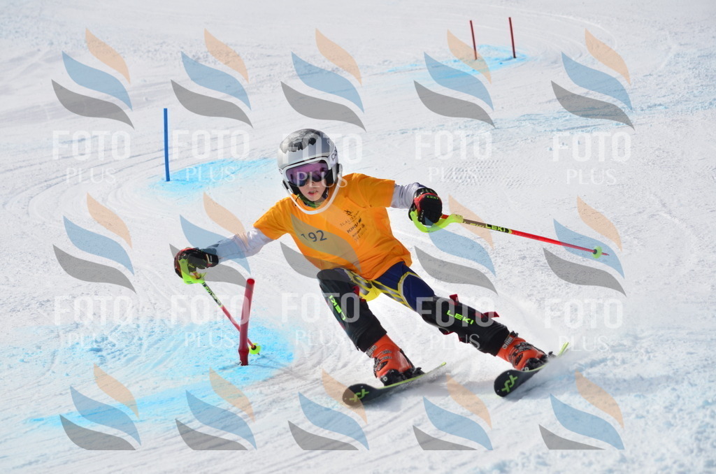 C8071 | holidayphoto