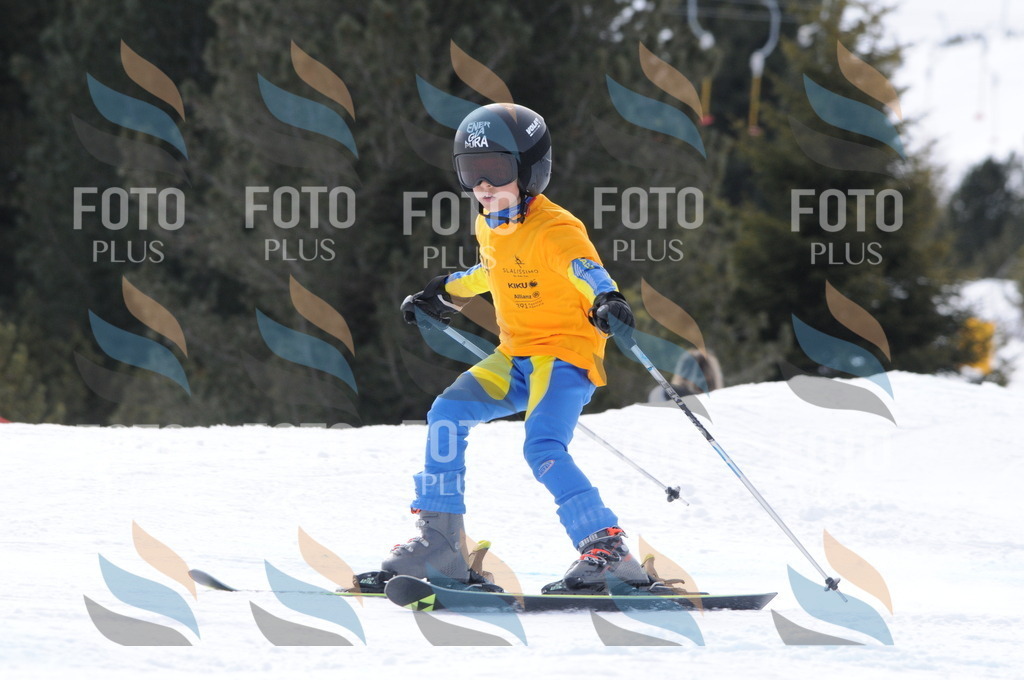 C7634 | holidayphoto