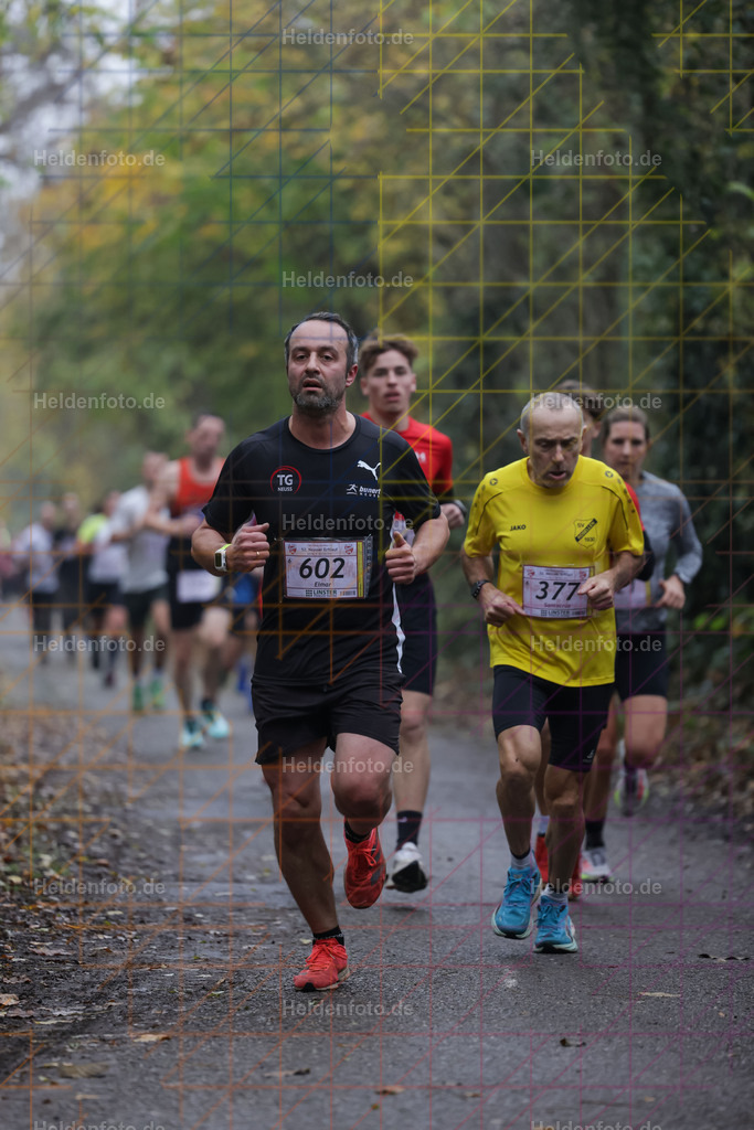 Neusser Erftlauf 2025  | Neusser Erftlauf 2025 Foto: Heldenfoto.de