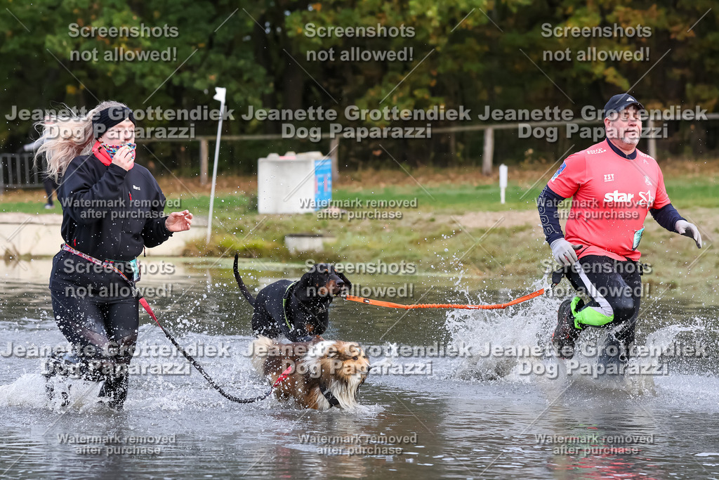 Dog Paparazzi - Strongdog 10-25-6839 | Dog Paparazzi Jeanette Grottendiek Fotografie & Videografie - Realisiert mit Pictrs.com