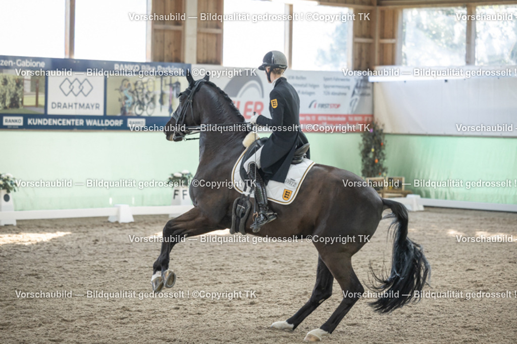 _D5A0317 | Emotionale Pferde- & People-Fotografie rund um Heidelberg, Leimen & Umgebung. Natürliche Fotos von Pferd, Mensch & Familie. Jetzt Termin sichern!