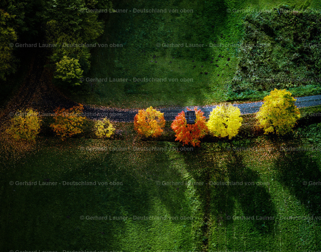 9000322 | herbstliche Bäume bei Kronach