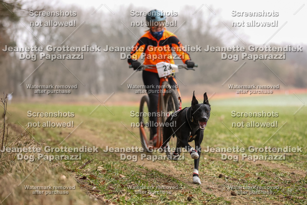 Dog Paparazzi - Plate 2026-80 | Dog Paparazzi Jeanette Grottendiek Fotografie & Videografie - Realisiert mit Pictrs.com