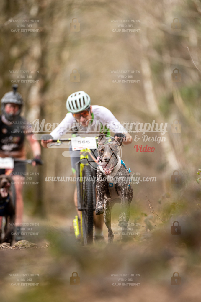 SPA_2023_SAM_Scooter-21 | PayLife