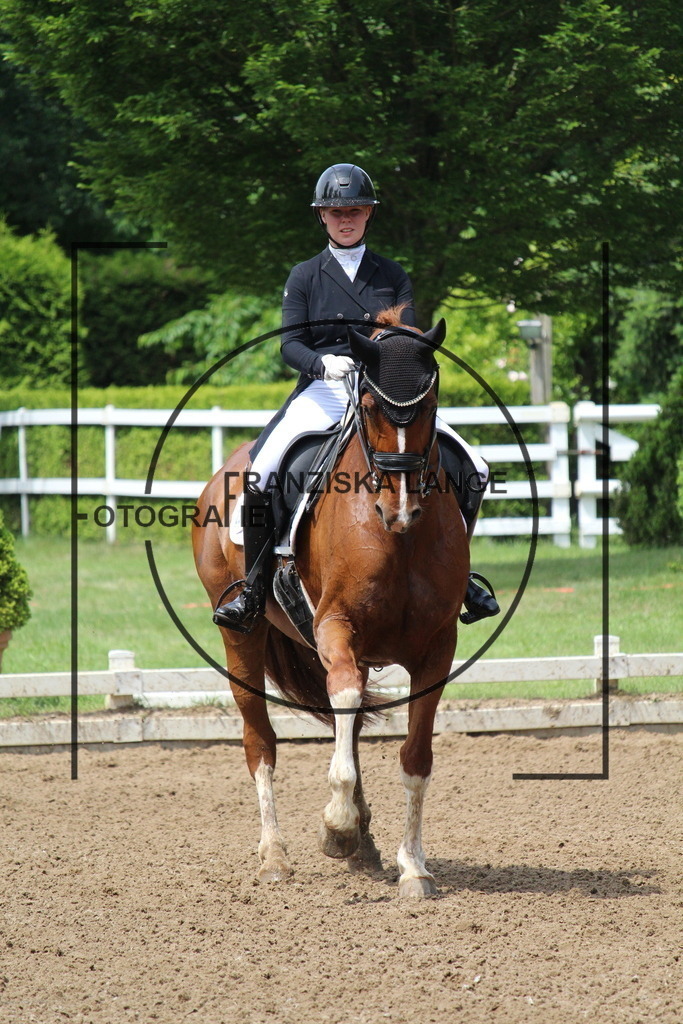 IMG_7962 | franziskalange - Realisiert mit Pictrs.com