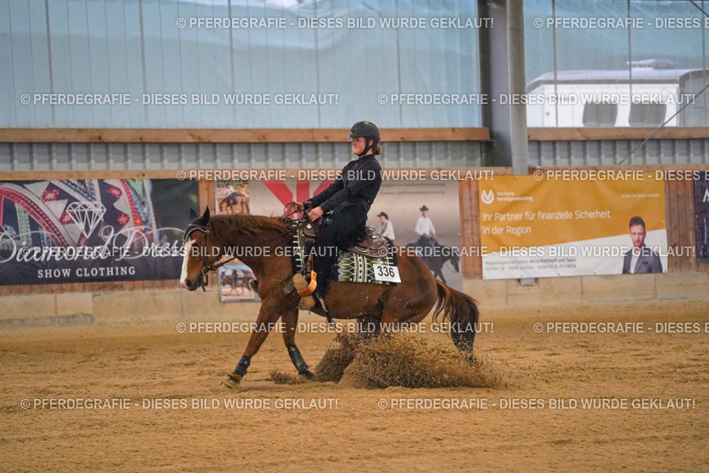 DSC09538 | Pferdegrafie