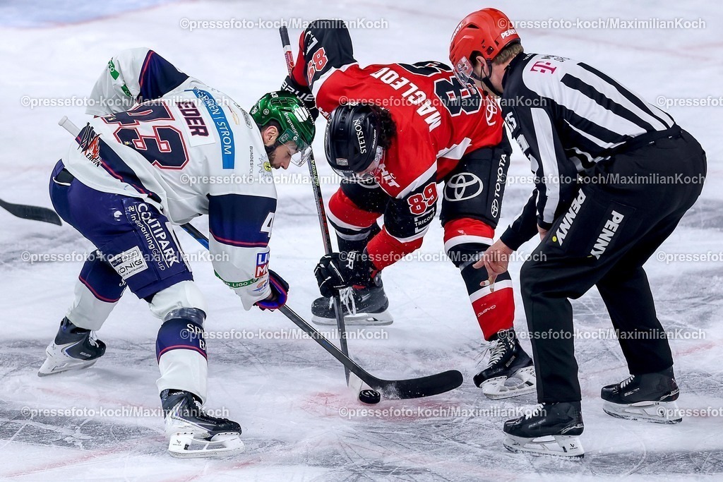 KEC15042601069 | 15.04.2026, Eishockey, DEL Halbfinale Play-Offs, Kölner Haie - Eisbären Berlin, Spiel 4, Lanxess-Arena Köln: Andreas Eder (Eisbären Berlin #43) im Zweikampf gegen  Gregor MacLeod (Kölner Haie #89) Bully 