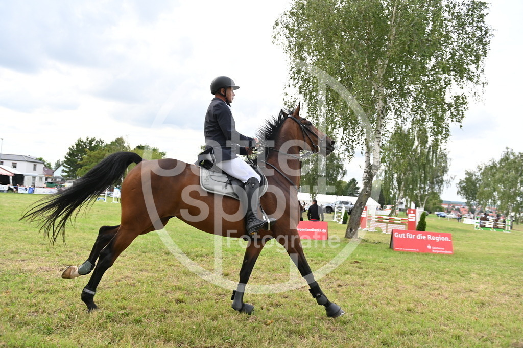 DSC_3928 | sattelsport - Realisiert mit Pictrs.com