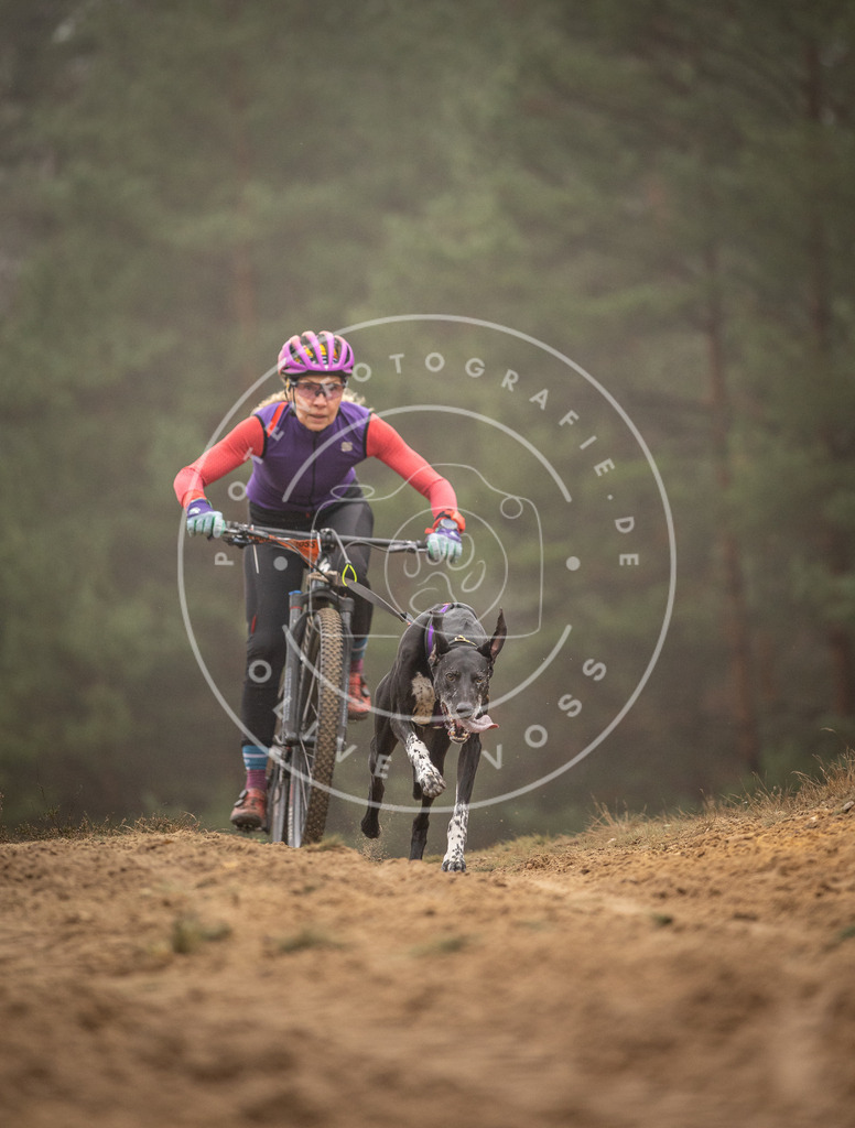 Pfotenfotografie_DV3A2506 | Hundefotografie, Tierfotograf, Pfotenfotografie, Fotoshooting Hund, Hunde Portrait, Hundesport, Hundeportraits, Heideshooting, Hunde, Sportfotograf, Hundefotograf, Turnierhundsport, THS,  - Realisiert mit Pictrs.com