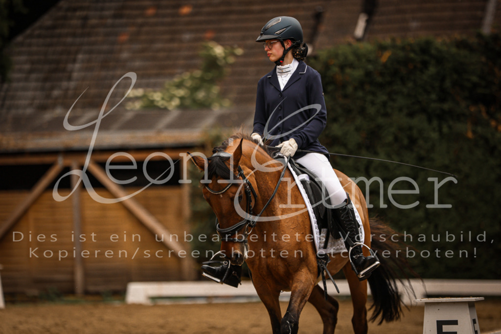 DoDrE00357 | Leoni Ertmer Photography - Realisiert mit Pictrs.com