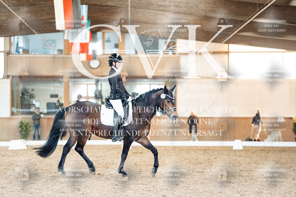 CK908088 | Turnierfotografie Pferdefotografie Trier Rheinland-Pfalz Pferdesport Reitsport Tierfotografie Sportfotografie Pferdevideo Pferdevideografie Equestrianvideography equestrianphotography  - Realisiert mit Pictrs.com