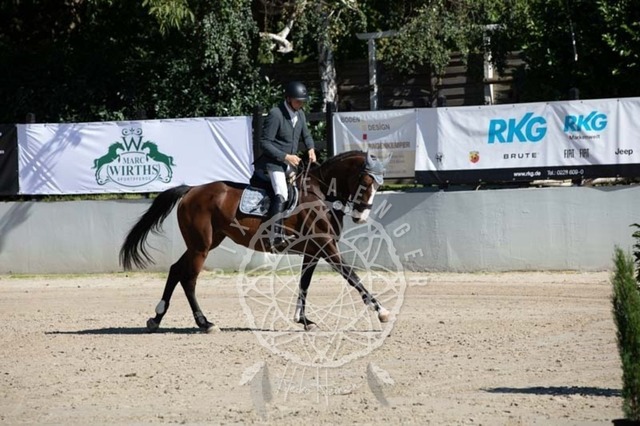 2B4A0394 | pixelfaenger - Realisiert mit Pictrs.com