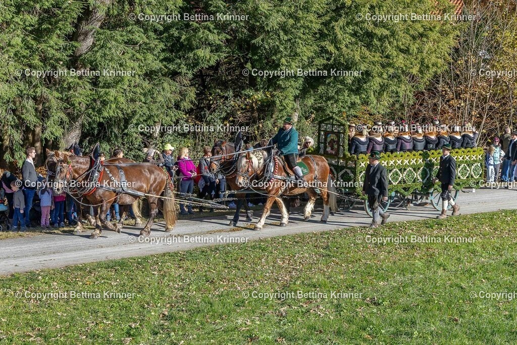 LBT25-540 | foto-bettina-krinner - Realisiert mit Pictrs.com