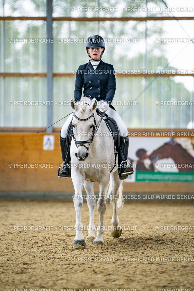 DSC04214 | Pferdegrafie