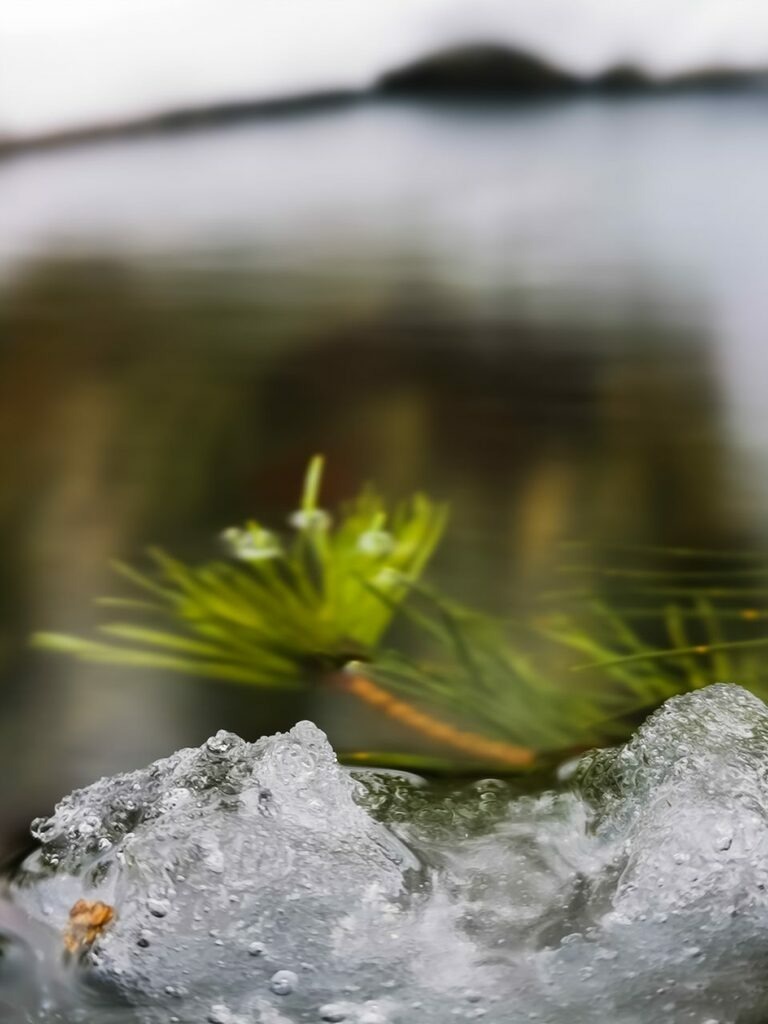 PSX_20211228_231514 | mtkfoto_ - Realisiert mit Pictrs.com