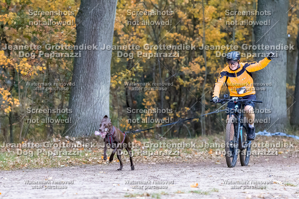 Dog Paparazzi - SD CaniX Championship 2025-227 | Dog Paparazzi Jeanette Grottendiek Fotografie & Videografie - Realisiert mit Pictrs.com